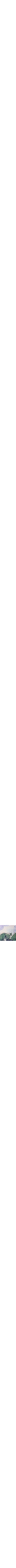 Pourpre à motifs