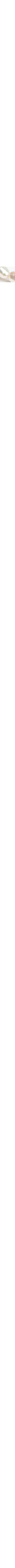 Nacré
