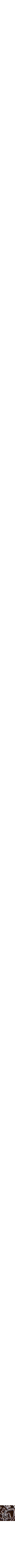 Assorti