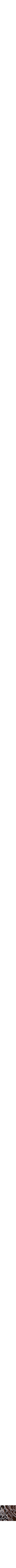 Assorti