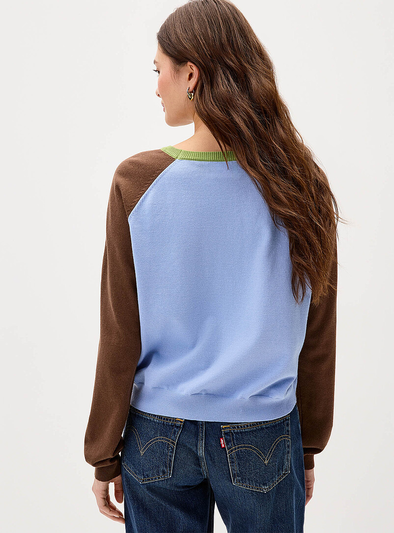 Things Between Baby Blue Colour blocks raglan sweater for women