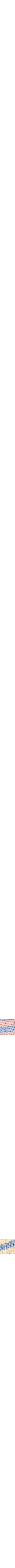 Rose à motifs