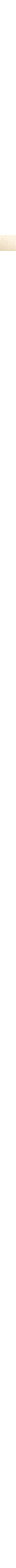 Patterned Ecru