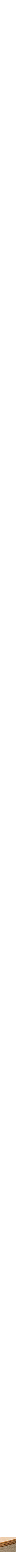 Assorti