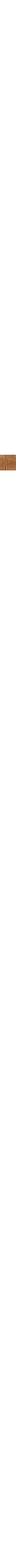 Brun à motifs