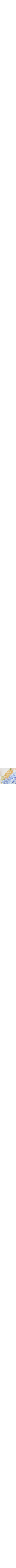 Bleu à motifs