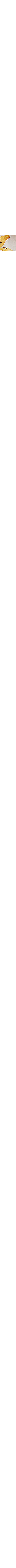Écru à motifs
