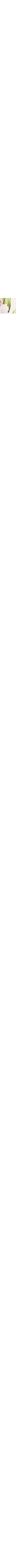 Blanc à motifs