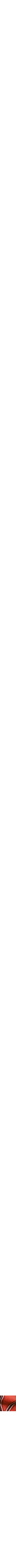Orange à motifs