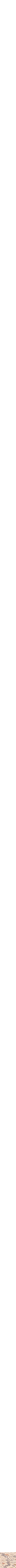 Assorti