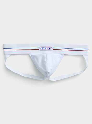 Le slip suspensoir rayures universitaires Coton