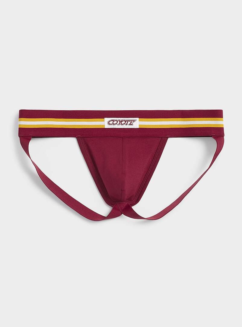 Varsity stripe jockstrap Cotton product image (primary)