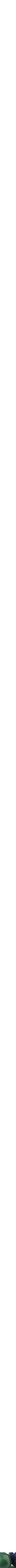 Assorti