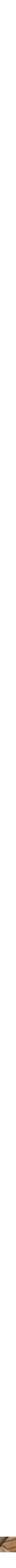 Assorti
