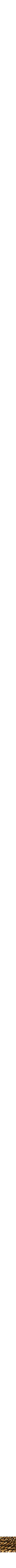 Assorti