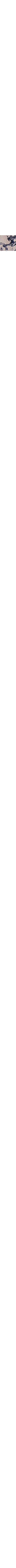 Patterned Ecru