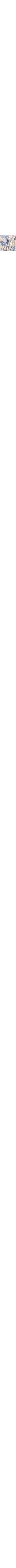 Patterned Ecru
