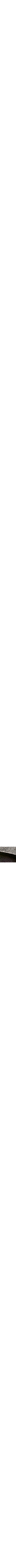 Aubergine