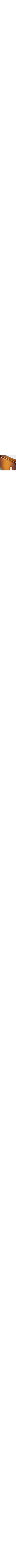 Brun à motifs