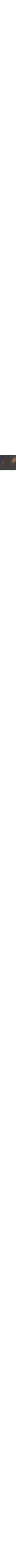 Brun à motifs