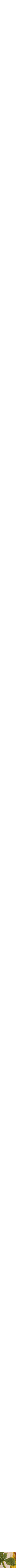 Assorti