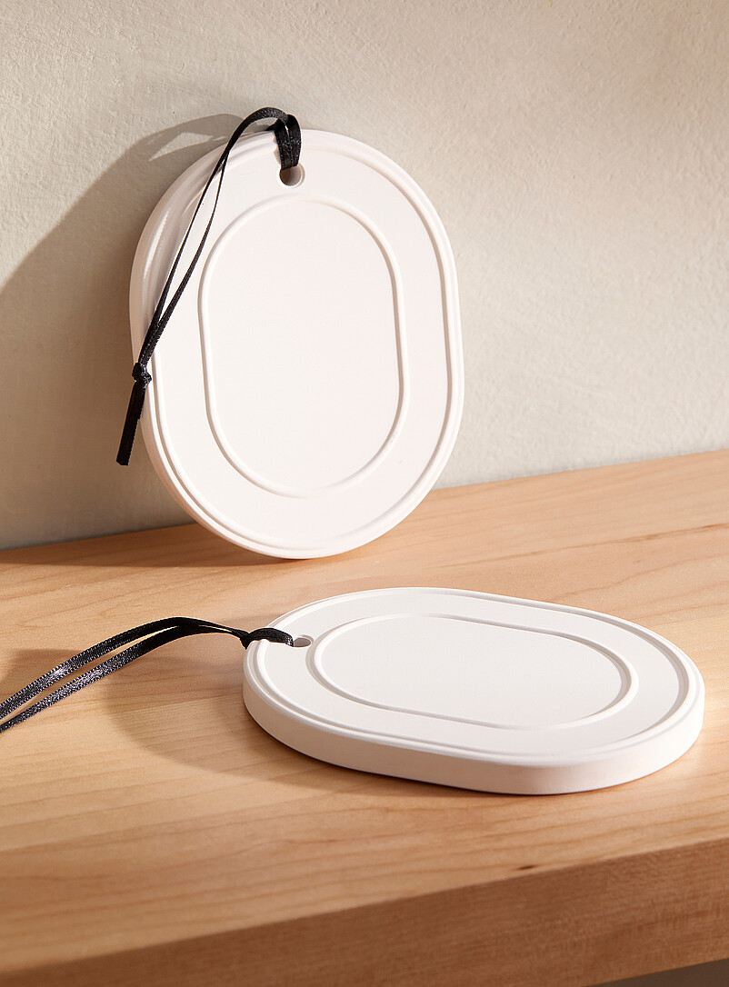 Diatomite closet deodorizers Set of 2 product image 2