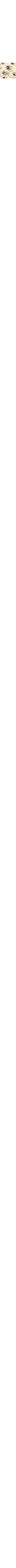 Gris assorti