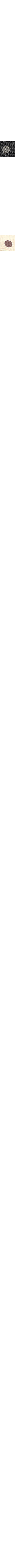 Patterned Ecru