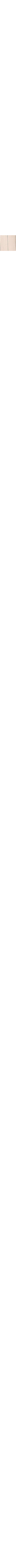 Patterned Ecru