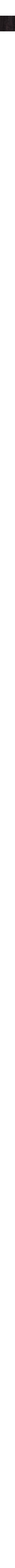 Bois noir