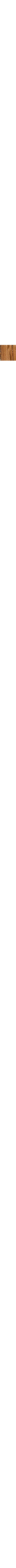 Chêne