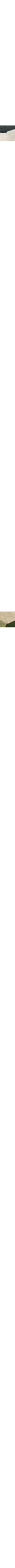 Gris à motifs