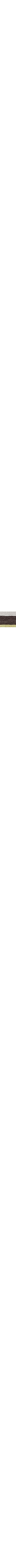 Vert à motifs