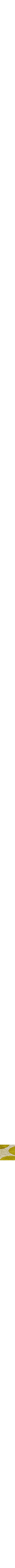 Jaune citron - Canari
