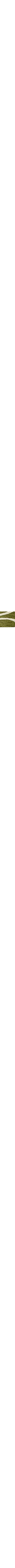 Vert à motifs