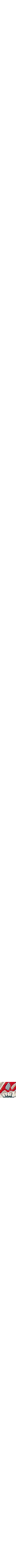 Rouge à motifs