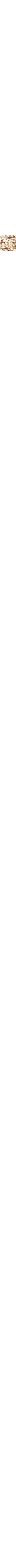 Écru à motifs