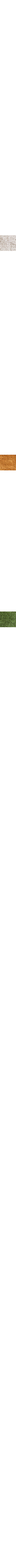 Patterned Ecru