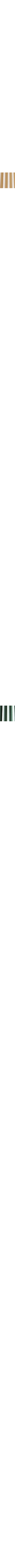 Blanc cassé