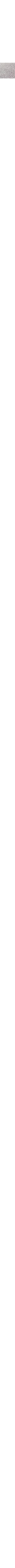Prune