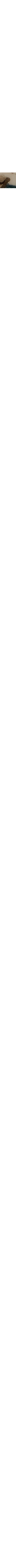 Blanc cassé