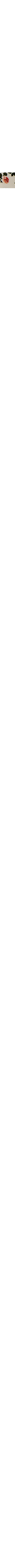 Blanc cassé