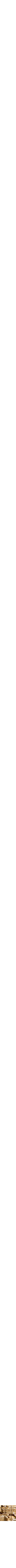 Assorti