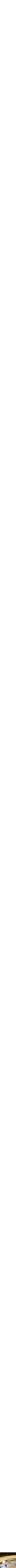 Assorti