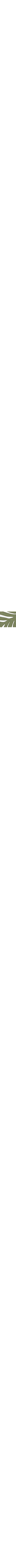 Vert à motifs