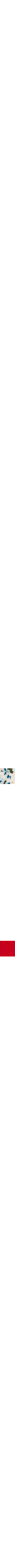 Bleu à motifs
