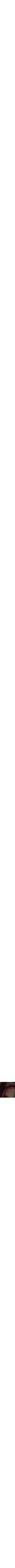 Rouge à motifs