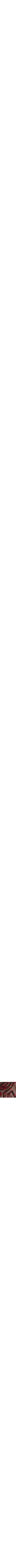 Rouge à motifs