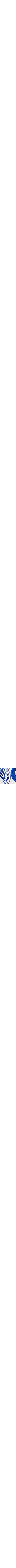 Bleu à motifs
