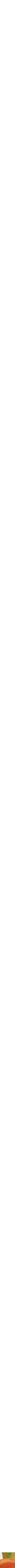 Assorti